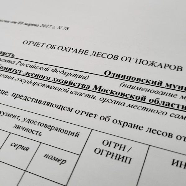 Отчет об охране лесов от пожаров